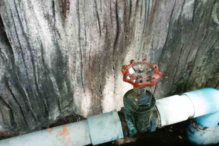 Water coming up from toilet and shower