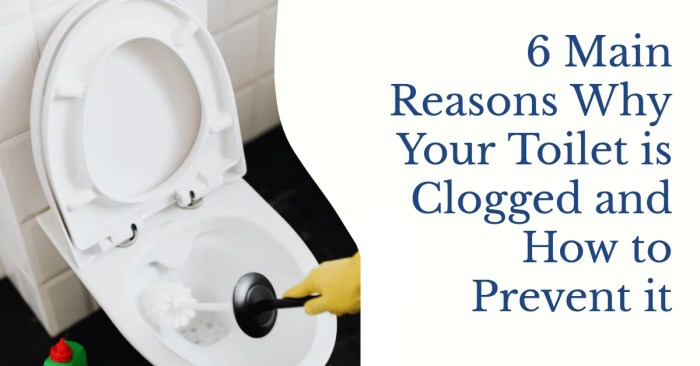 Toilet clogged fix plumbing ways 55h barton posted