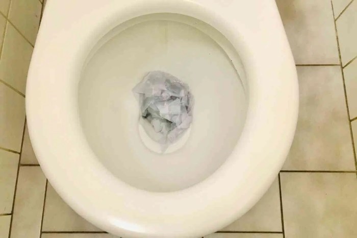 Toilet clogged water high