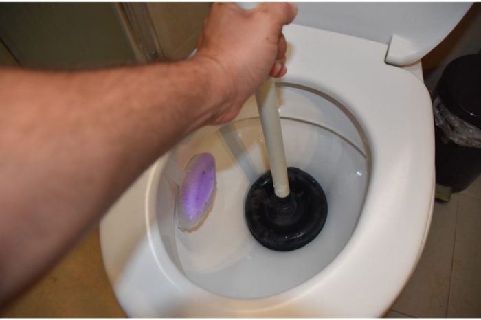 Water coming up from toilet and shower