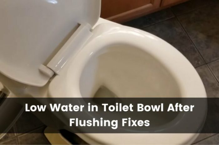 Leaking bowl flushing toilet diynot