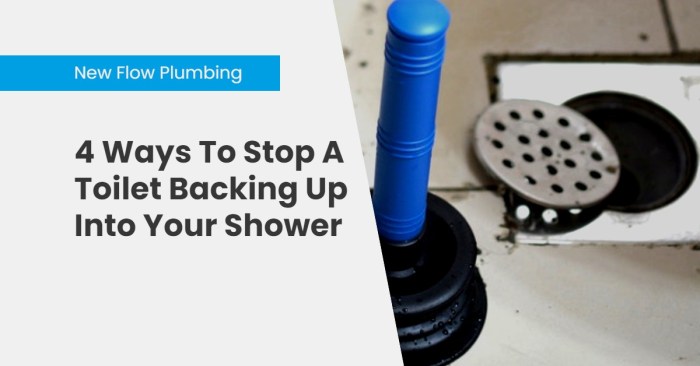 Sewer water coming up toilet