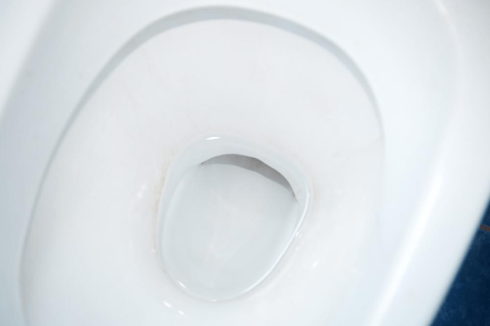 Water drains from toilet bowl after flushing