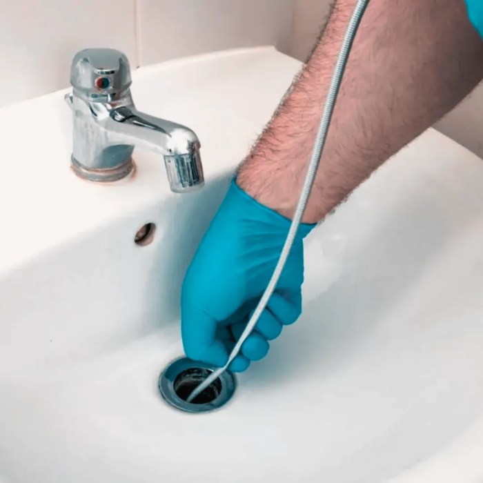 Toilet blocked plunge