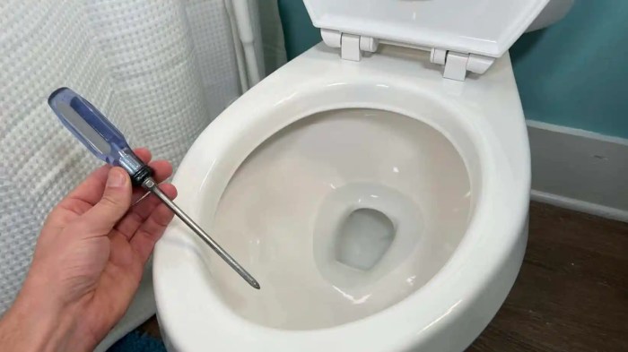 Water drains from toilet bowl after flushing